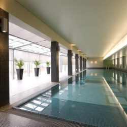 Pelikan zarządzana przez Masters Zarządzanie Nieruchomości